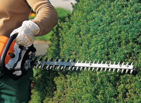 STIHL 3 GRUEN